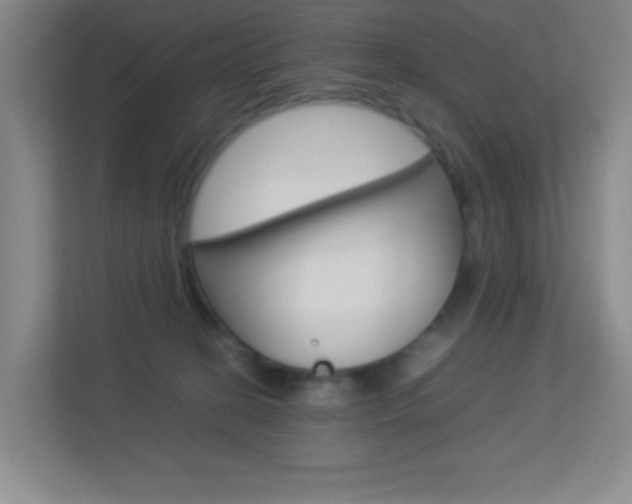 X0000113890274200909241148