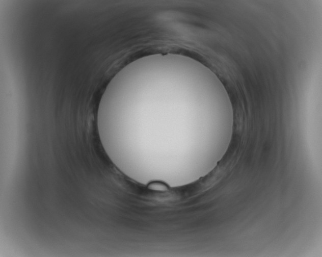 X0000113890279200909241148