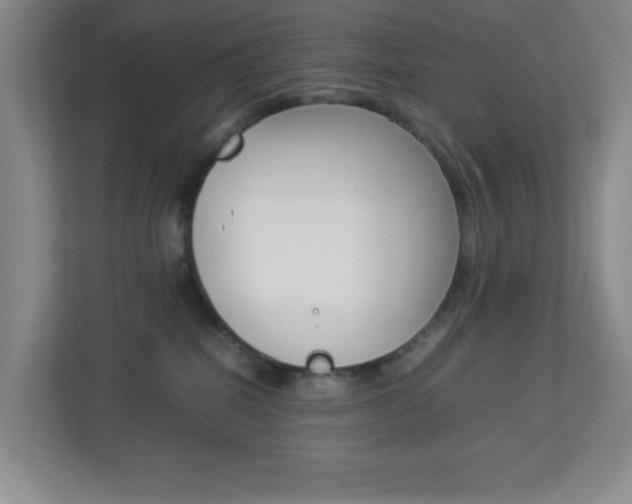 X0000113890282200909241148