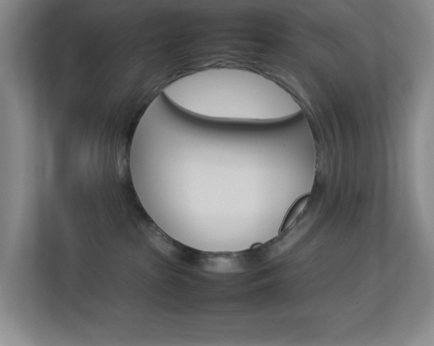 X0000113890285200909241148