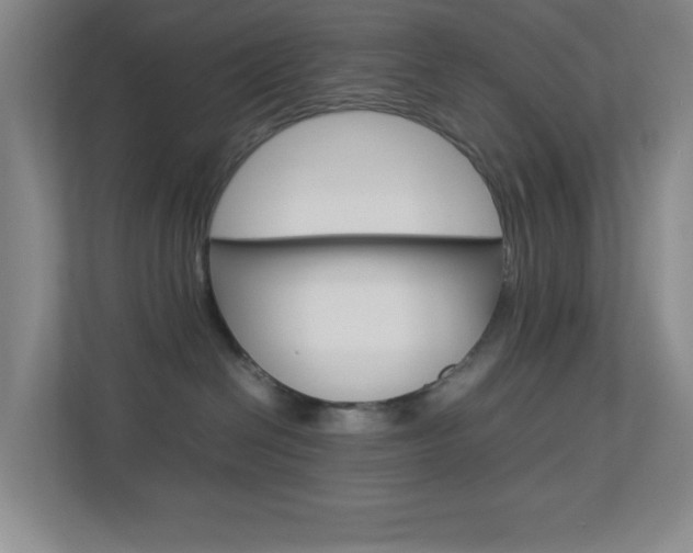 X0000113890286200909241148