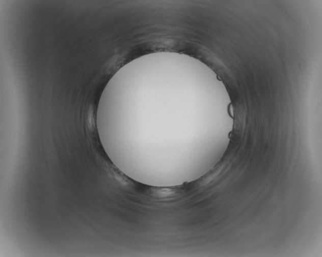X0000113890287200909241148