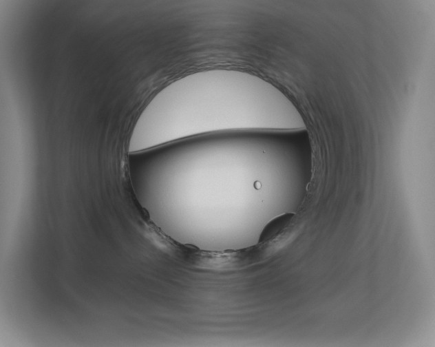 X0000113890288200909241148