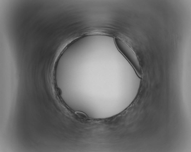 X0000113890289200909241148