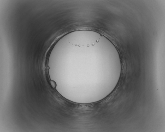 X0000113890290200909241148