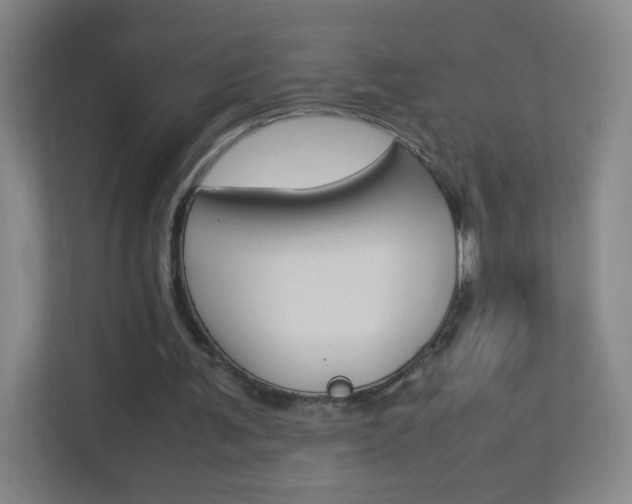 X0000113890291200909241148