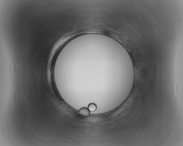X0000113890294200909241148