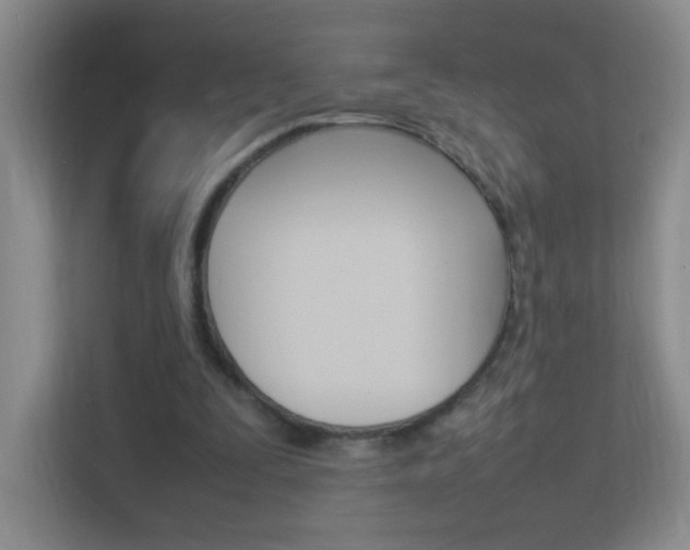 X0000113890295200909241148