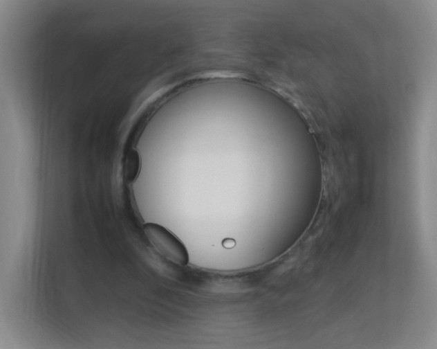 X0000113890296200909241148