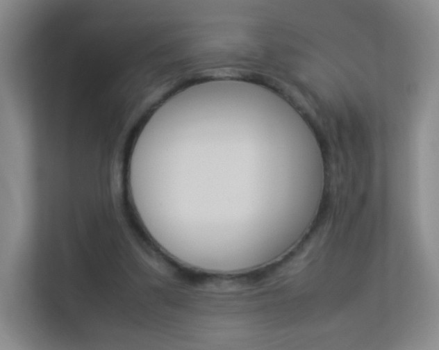 X0000113890299200909241148