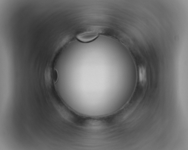 X0000113890300200909241148