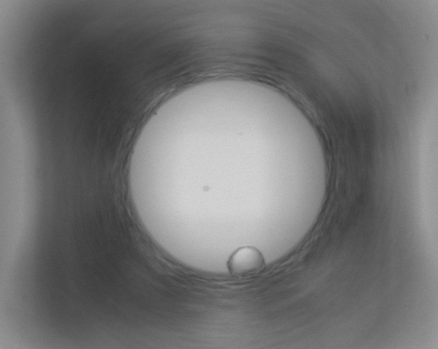 X0000113890305200909241148