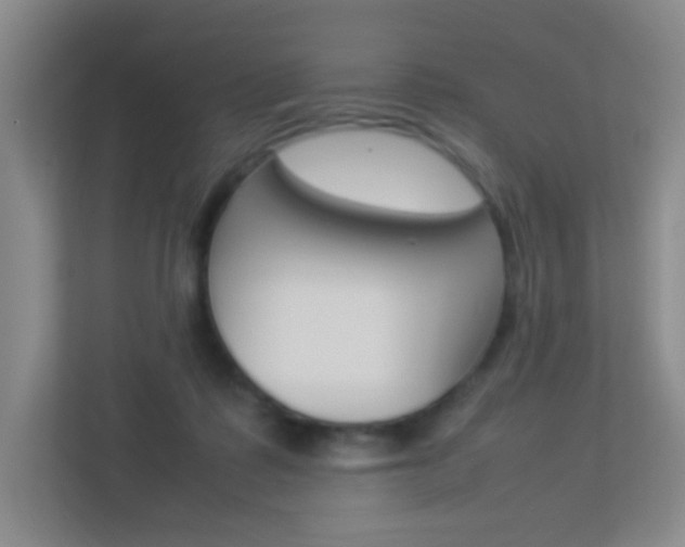 X0000113890315200909241147