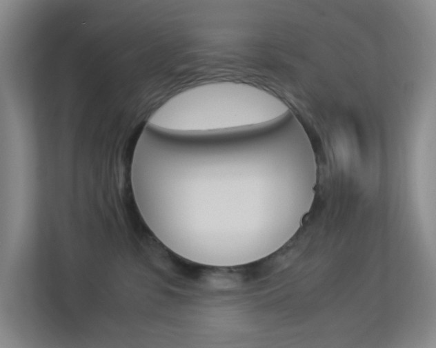 X0000113890331200909241147