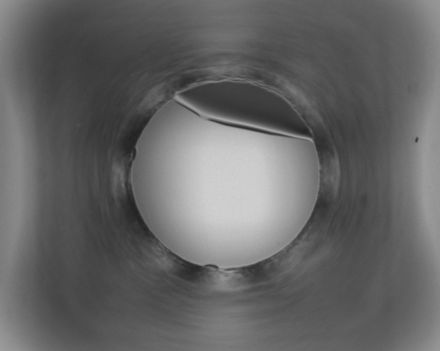 X0000113890333200909241147