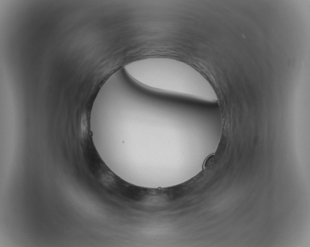 X0000113890335200909241147