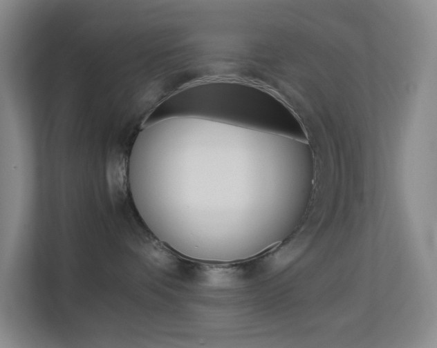 X0000113890336200909241147