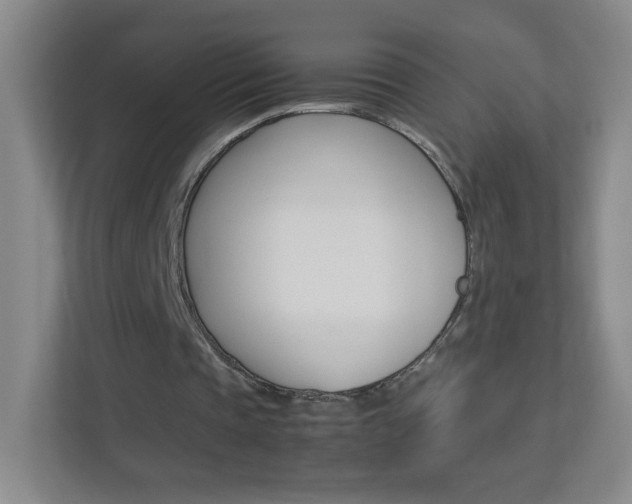 X0000113890337200909241147