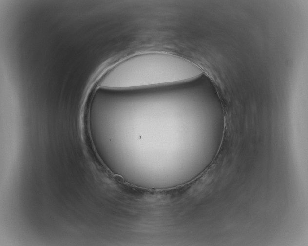 X0000113890340200909241147