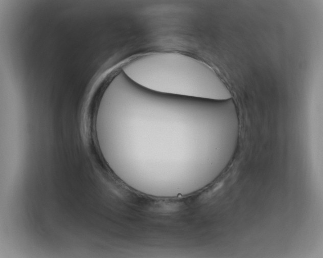 X0000113890343200909241147