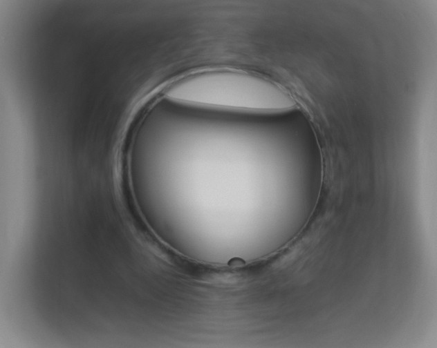 X0000113890344200909241147