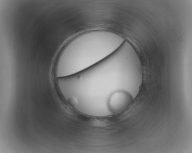 X0000113890346200909241147