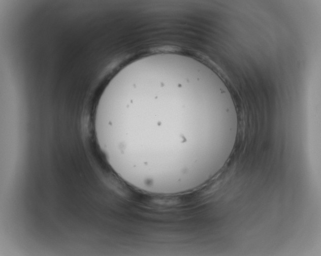 X0000113890351200909241147