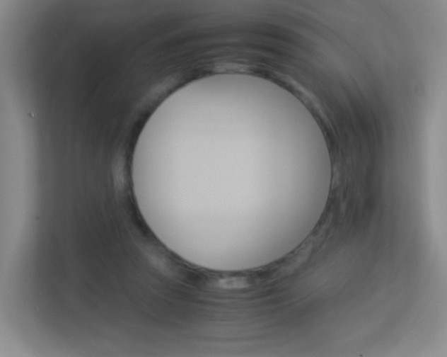 X0000113890353200909241147