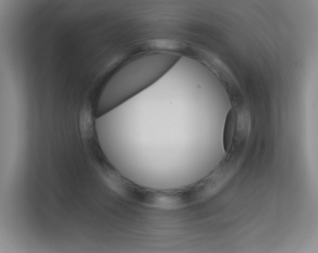 X0000113890360200909241147