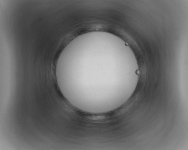 X0000113890361200909241147
