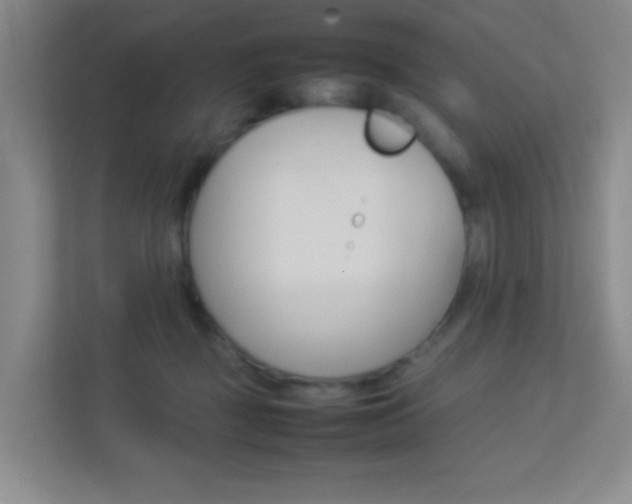 X0000113890363200909241147
