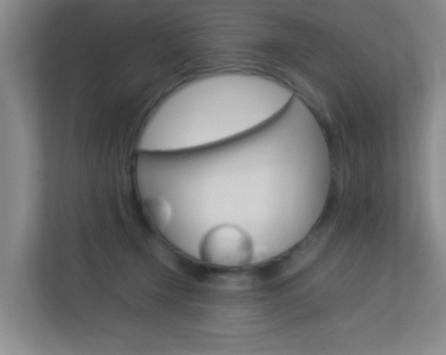 X0000113890366200909241147