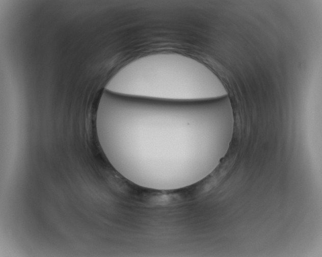 X0000113890379200909241147