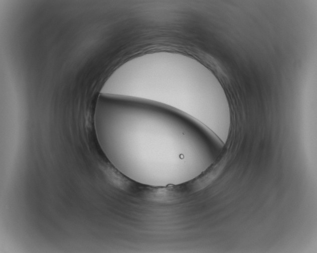 X0000113890382200909241147