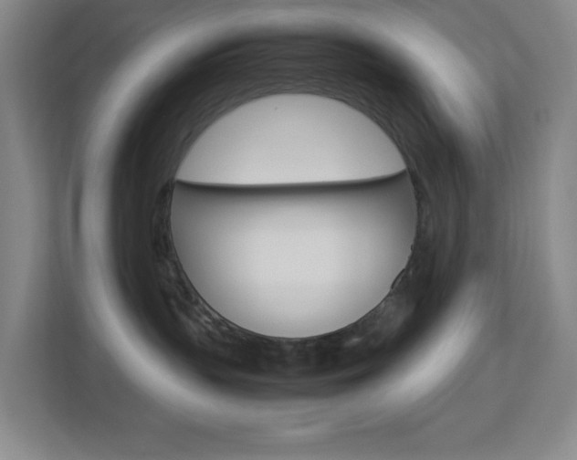 X0000113890383200909241147