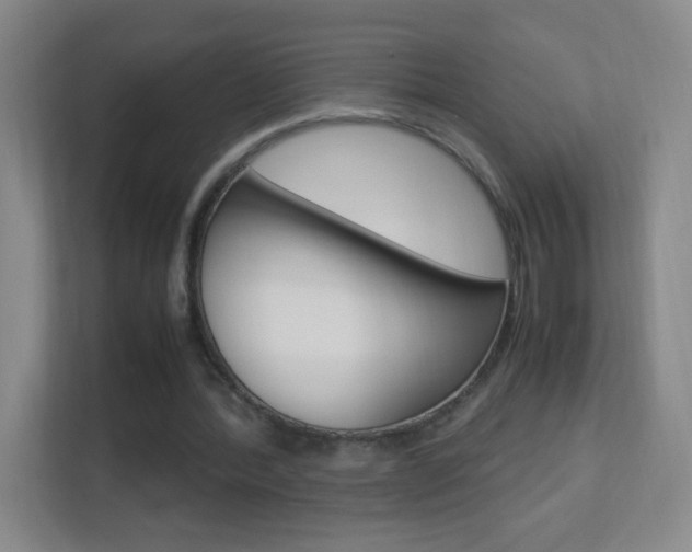X0000113890388200909241147