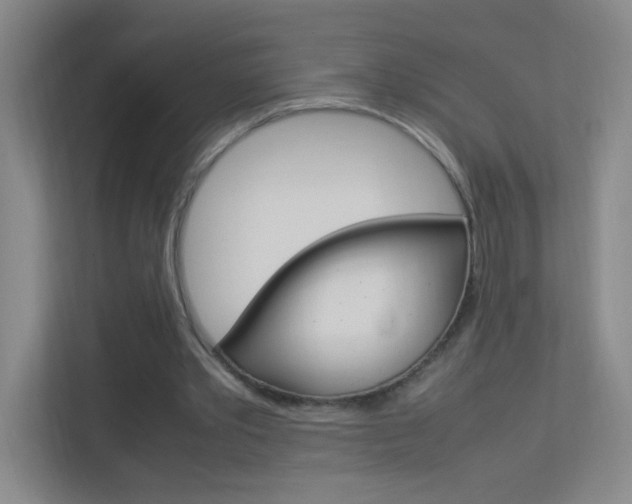 X0000113890389200909241147