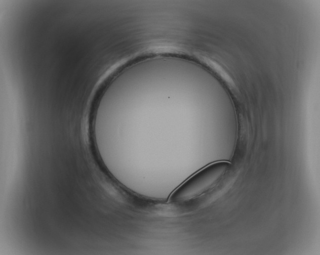 X0000113890391200909241147