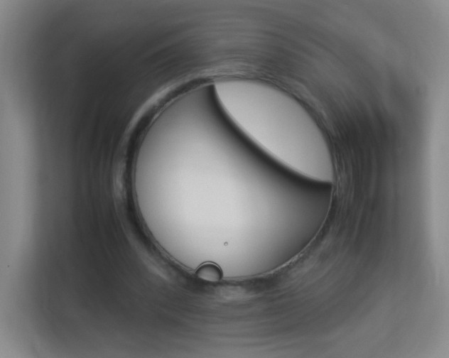 X0000113890392200909241146