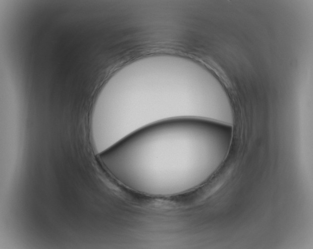 X0000113890393200909241146