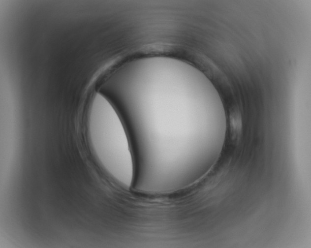 X0000113890396200909241146
