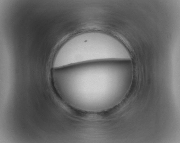 X0000113890399200909241146