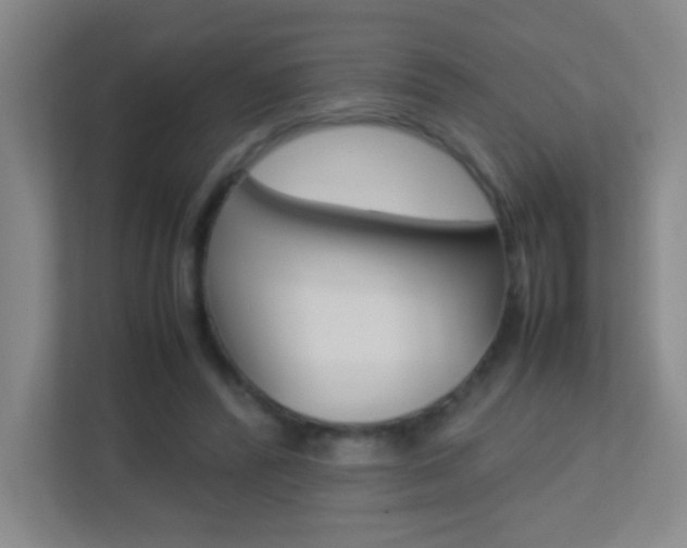 X0000113890400200909241146