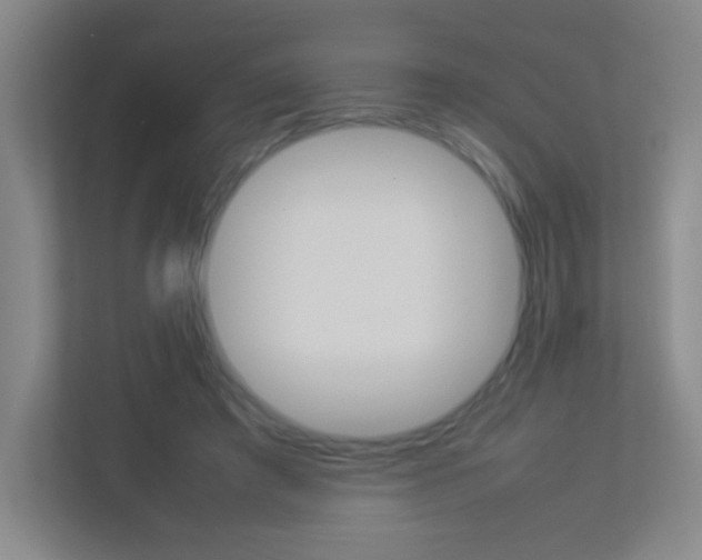 X0000113890401200909241146