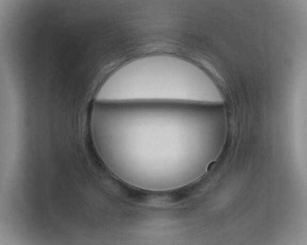 X0000113890403200909241146