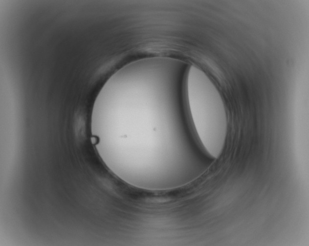 X0000113890404200909241146