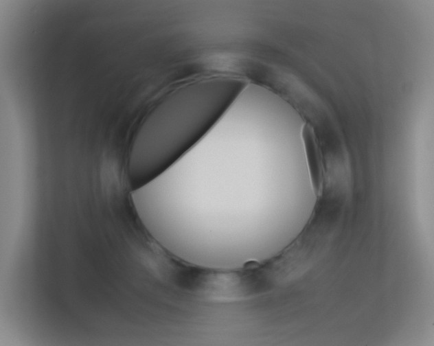 X0000113890409200909241146