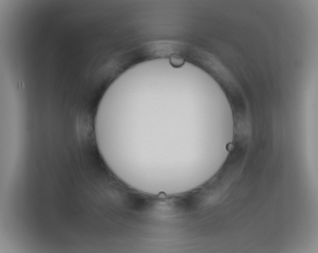 X0000113890411200909241146