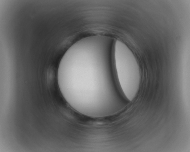 X0000113890412200909241146