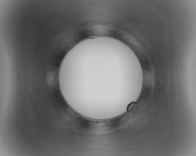 X0000113890419200909241146